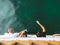 Fostering the Next Generation of Entrepreneurs The Role of Educators and Mentors